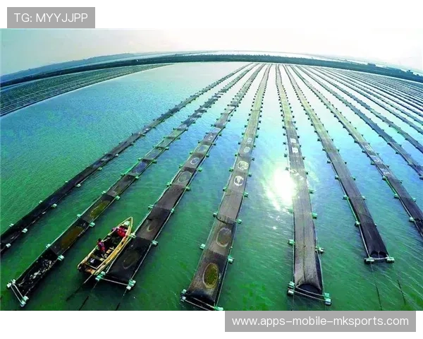 山东泰山侧翼推进切开缺口